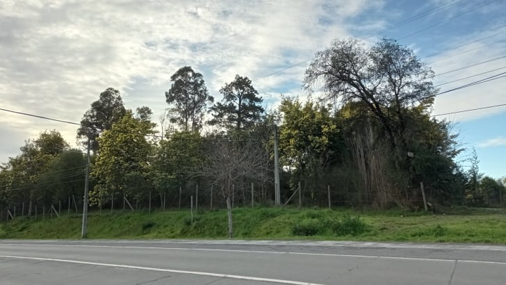 Propiedad en Saltos del laja