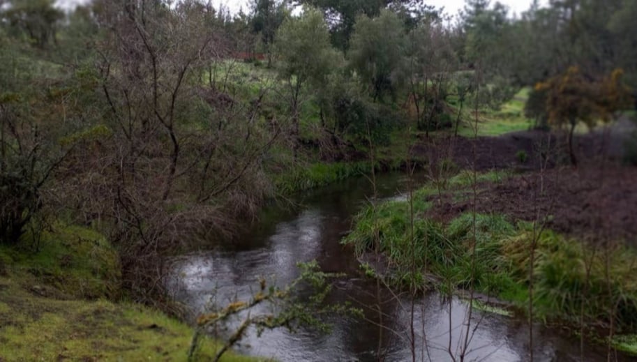  parcelas el cortijo