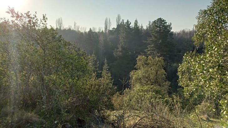 Propiedad en Saltos del Laja